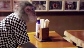 رستوران میمون ها در ژاپن