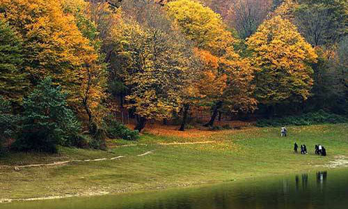 پارک جنگلی گیسوم